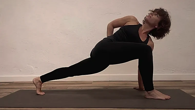 SaluxPose 1