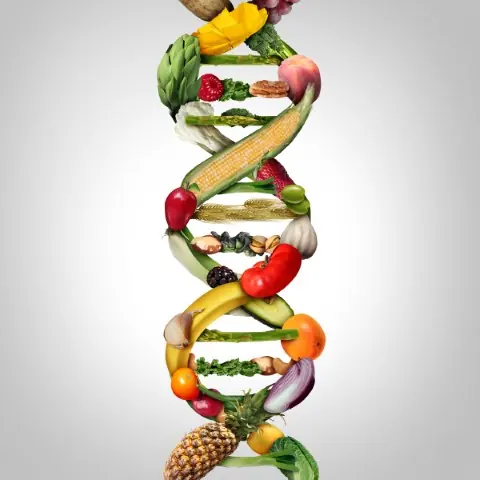 nutrigenomica